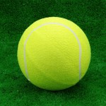 Мяч для большого тенниса самый дешёвый s-dostavka - магазин СпортДоставка. Спортивные товары интернет магазин в Калининграде 